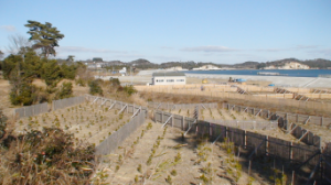 菖蒲田浜地区　2018/01/14撮影